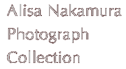 alisa photograph title image