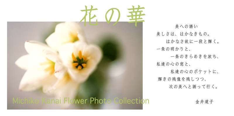 䓹qʐ^Wgbv